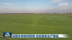 加强冬季田间办理 夯实粮食出产根本