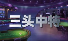 澳门雷锋网论坛材料_澳门雷锋网论坛材料V