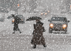 大范畴雨雪降温大风气候来袭!局地-20℃以下!安康
