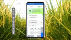 大迸发丨2025年江苏叁拾叁AI大模子农业使用全面