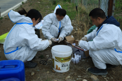 我市有序推进田间杂草化学防治工做